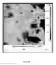 Fig. 12 - Boron and lithium isotopic method for tracing hydrocarbons and their by-products