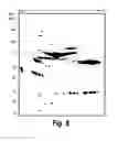 Fig. 12 - METHOD OF BIOMARKER VALIDATION AND TARGET DISCOVER