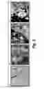 Fig. 13 - METHOD OF BIOMARKER VALIDATION AND TARGET DISCOVER