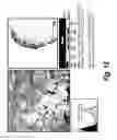 Fig. 20 - METHOD OF BIOMARKER VALIDATION AND TARGET DISCOVER