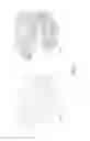 Fig. 02 - TLE3 AS A MARKER FOR CHEMOTHERAPY
