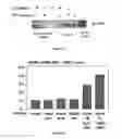 Fig. 02 - Soluble MANF in pancreatic β-cell disorders
