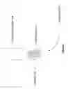 Fig. 05 - Method for measuring analyte transport across cell membranes using X-ray fluorescence