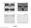 Fig. 06 - Polarized millimeter wave imaging system and method