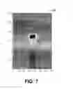 Fig. 08 - Polarized millimeter wave imaging system and method