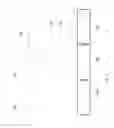 Fig. 04 - Sub-resolution optical detection