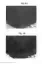 Fig. 07 - Anti-glare surface treatment method and articles thereof