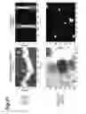 Fig. 22 - Observation device