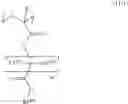 Fig. 86 - Resist composition, method of forming resist pattern, and polymeric compound
