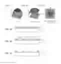 Fig. 02 - Fabrication method for pattern-formed structure