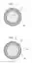 Fig. 02 - Electroconductive member for electrophotography, process cartridge and electrophotographic apparatus