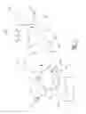 Fig. 02 - Liquid toner dispersion and use thereof