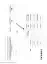 Fig. 08 - Automatic Generation of Coded Chief Complaints (CCCs)