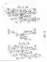 Fig. 02 - Internal linking co-convergence using clustering with hierarchy