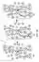 Fig. 03 - Internal linking co-convergence using clustering with hierarchy