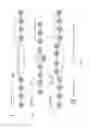 Fig. 05 - Methods and systems for aligning sequences in the presence of repeating elements
