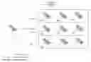 Fig. 01 - Method, an arrangement and a computer program product for analysing a biological or medical sample
