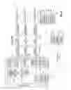 Fig. 06 - Evaluating application integrity