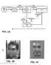 Fig. 02 - Techniques for enabling or establishing the use of face recognition algorithms