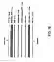 Fig. 10 - Transaction card