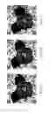 Fig. 08 - Beautifying method for quick response code and apparatus thereof