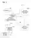Fig. 02 - Systems and methods for managing portfolio-relevant news content