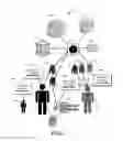 Fig. 02 - Systems and Methods For Estimating Probability Of Identity-Based Fraud