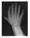 Fig. 01 - Scoring and Adjusting Pixels Based on Neighborhood Relationships for Revealing Data in Images