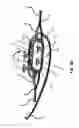Fig. 15 - Roundslings with radio frequency identification pre-failure warning indicators