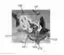 Fig. 01 - Sealing of a crack in a pool of a nuclear facility, using a robot