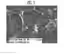 Fig. 06 - METHOD OF FABRICATING NANOWIRE AND GRAPHENE-SHEET HYBRID STRUCTURE AND TRANSPARENT ELECTRODE USING THE SAME