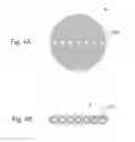 Fig. 05 - Charged particle beam exposure apparatus