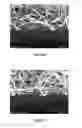 Fig. 08 - Polyoxometalate and heteropolyoxometalate compositions and methods for their use