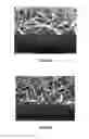 Fig. 10 - Polyoxometalate and heteropolyoxometalate compositions and methods for their use