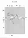 Fig. 07 - Liquid crystal display and manufacturing method thereof