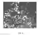 Fig. 09 - Group III nitride articles having nucleation layers, transitional layers, and bulk layers