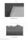 Fig. 02 - Light-emitting device having a reflective structure and a metal mesa and the manufacturing method thereof