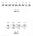 Fig. 03 - Polymer of sulfonated poly(arylene ether)s and manufacturing method thereof