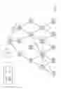 Fig. 02 - Phase determination in smart grid networks