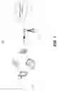 Fig. 02 - Opportunistic active interference cancellation using RX diversity antenna