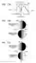 Fig. 12 - Distance detection apparatus, image sensing apparatus, program, recording medium, and distance detection method