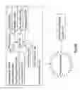 Fig. 03 - Wireless Transmitting Non-volatile Memory for an Image Capturing Device