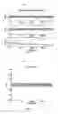 Fig. 08 - 3-D motion estimation and online temporal calibration for camera-IMU systems