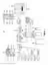 Fig. 02 - Streaming multiple encodings encoded using different encoding parameters