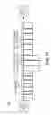 Fig. 12 - Optimal quality adaptive video delivery