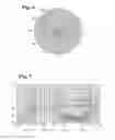 Fig. 06 - Electrode extraction terminal for unidirectional condenser microphone unit and unidirectional condenser microphone unit