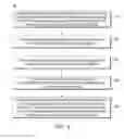 Fig. 07 - Systems and methods for authenticating mobile devices at an incident via collaboration