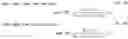 Fig. 08 - Null beamforming in a communication network