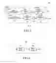 Fig. 06 - Method and apparatus for forwarding signal for wireless multi-hop communication