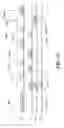 Fig. 15 - Contention arbitration using code division multiplexing